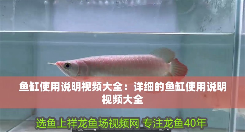 魚缸使用說明視頻大全：詳細的魚缸使用說明視頻大全 魚缸使用說明視頻大全：詳細的魚缸使用說明視頻大全 魚缸百科