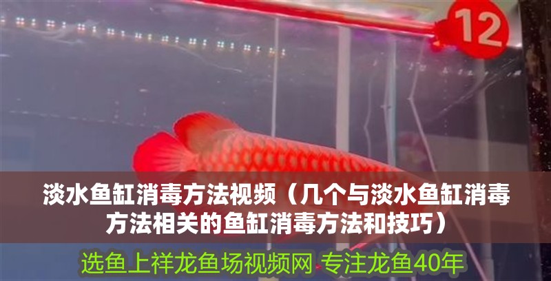 淡水魚缸消毒方法視頻（幾個與淡水魚缸消毒方法相關的魚缸消毒方法和技巧）