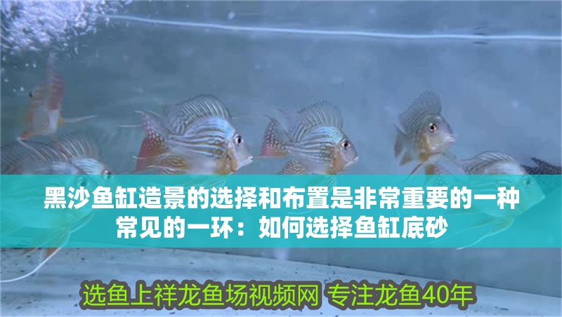黑沙魚缸造景的選擇和布置是非常重要的一種常見的一環：如何選擇魚缸底砂