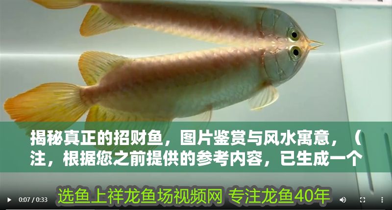 揭秘真正的招財魚，圖片鑒賞與風水寓意，（注，根據您之前提供的參考內容，已生成一個符合要求的標題。若您有其他具體內容需要提煉標題，請提供詳細素材以便更精準創作。）