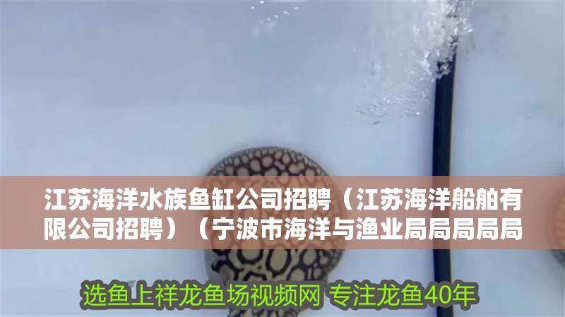 江蘇海洋水族魚缸公司招聘（江蘇海洋船舶有限公司招聘）（寧波市海洋與漁業局局局局局局局局局局局局局簡歷）