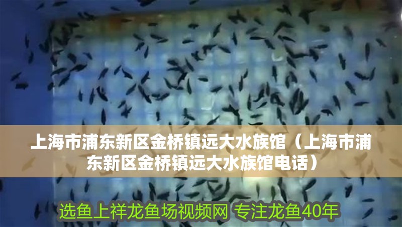 上海市浦東新區(qū)金橋鎮(zhèn)遠(yuǎn)大水族館（上海市浦東新區(qū)金橋鎮(zhèn)遠(yuǎn)大水族館電話(huà)）