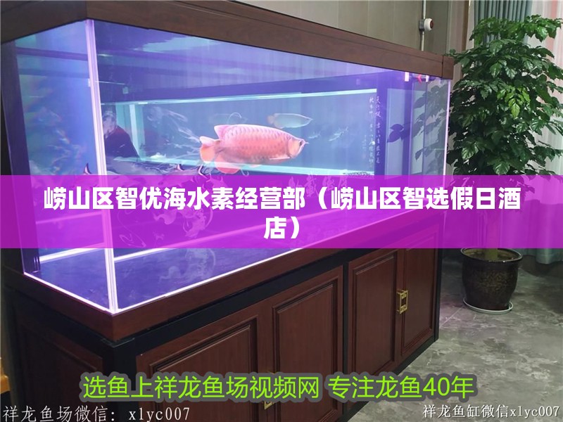 嶗山區智優海水素經營部（嶗山區智選假日酒店）