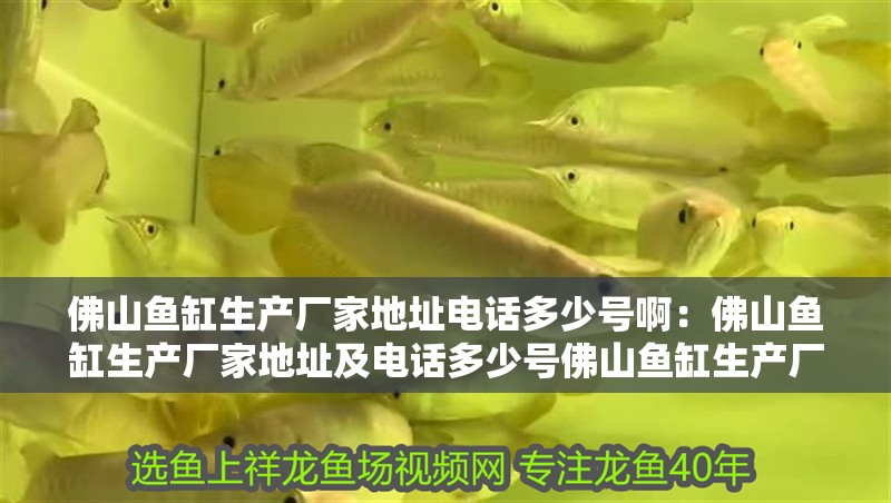 <strong><mark>佛山</mark></strong>魚缸生產(chǎn)廠家地址電話多少號啊：<strong><mark>佛山</mark></strong>魚缸生產(chǎn)廠家地址及電話多少號<strong><mark>佛山</mark></strong>魚缸生產(chǎn)廠家地址