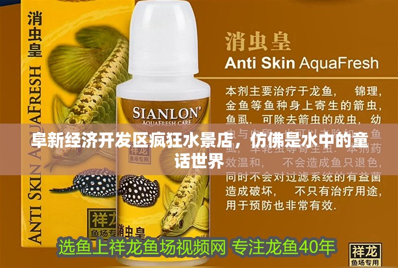 阜新經濟開發區瘋狂水景店，仿佛是水中的童話世界