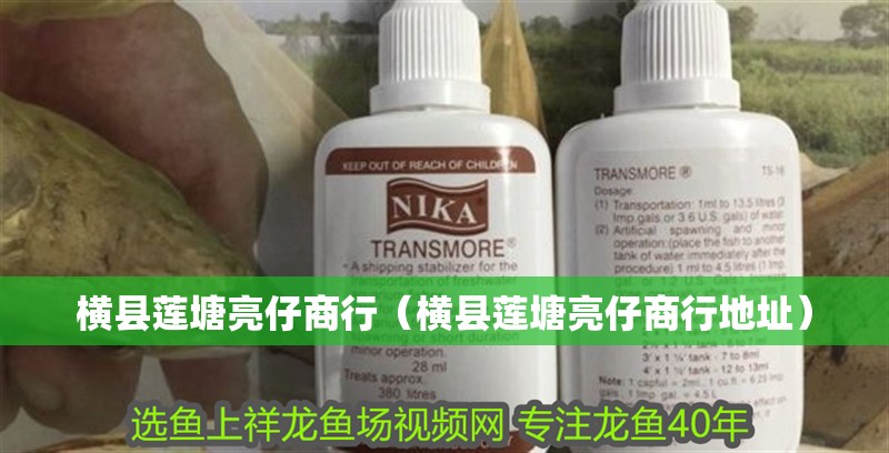 橫縣蓮塘亮仔商行（橫縣蓮塘亮仔商行地址） 橫縣蓮塘亮仔商行（橫縣蓮塘亮仔商行地址） 全國水族館企業名錄