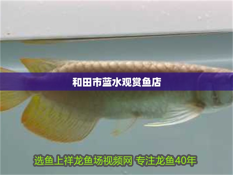 和田市藍水觀賞魚店 和田市藍水觀賞魚店 全國水族館企業名錄
