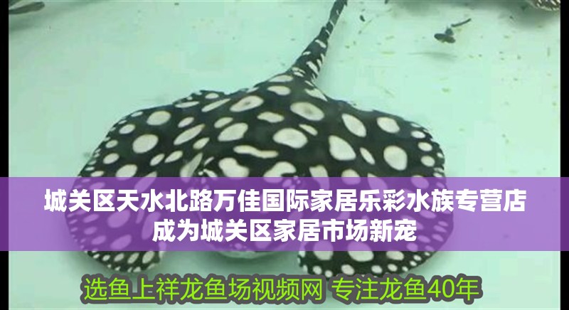 城關區天水北路萬佳國際家居樂彩水族專營店成為城關區家居市場新寵 城關區天水北路萬佳國際家居樂彩水族專營店成為城關區家居市場新寵 全國水族館企業名錄