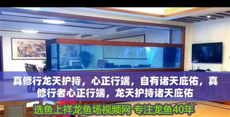 真修行龍天護持，心正行端，自有諸天庇佑，真修行者心正行端，龍天護持諸天庇佑 真修行龍天護持，心正行端，自有諸天庇佑，真修行者心正行端，龍天護持諸天庇佑 龍魚百科 第1張