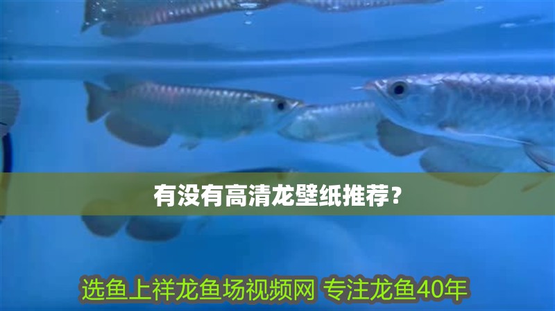 有沒有高清龍壁紙推薦？