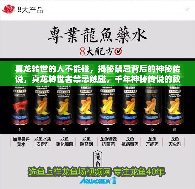 真龍轉世的人不能碰，揭秘禁忌背后的神秘傳說，真龍轉世者禁忌觸碰，千年神秘傳說的致命真相