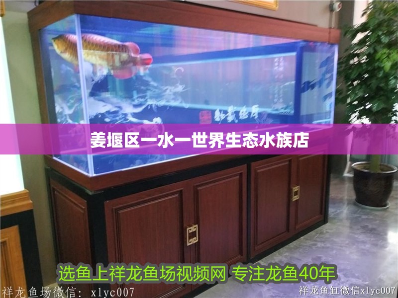 姜堰區一水一世界生態水族店