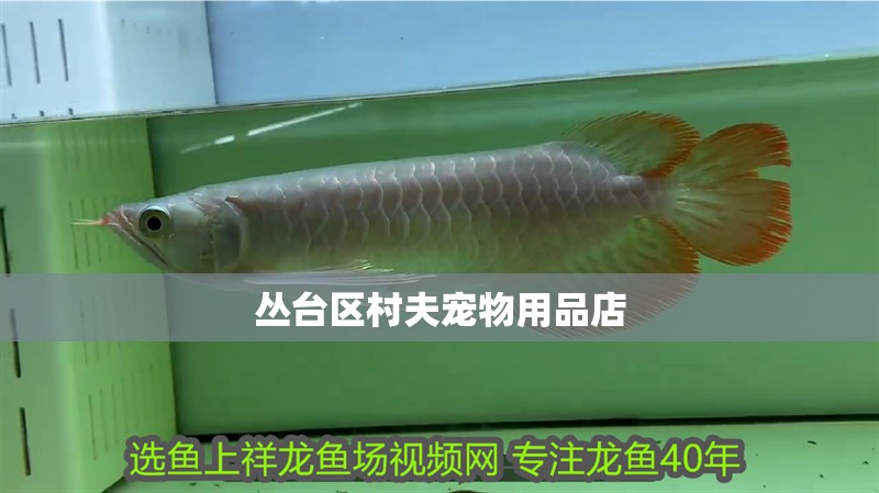 叢臺區村夫寵物用品店