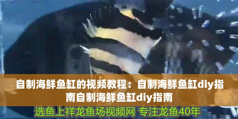自制海鮮魚缸的視頻教程：自制海鮮魚缸diy指南自制海鮮魚缸diy指南