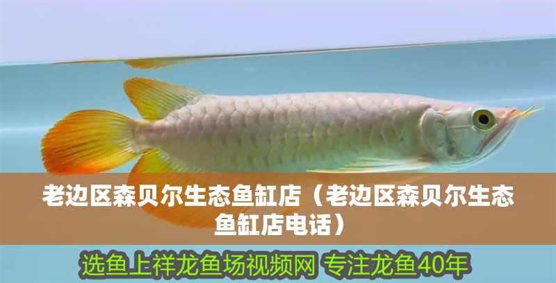 老邊區森貝爾生態魚缸店（老邊區森貝爾生態魚缸店電話）