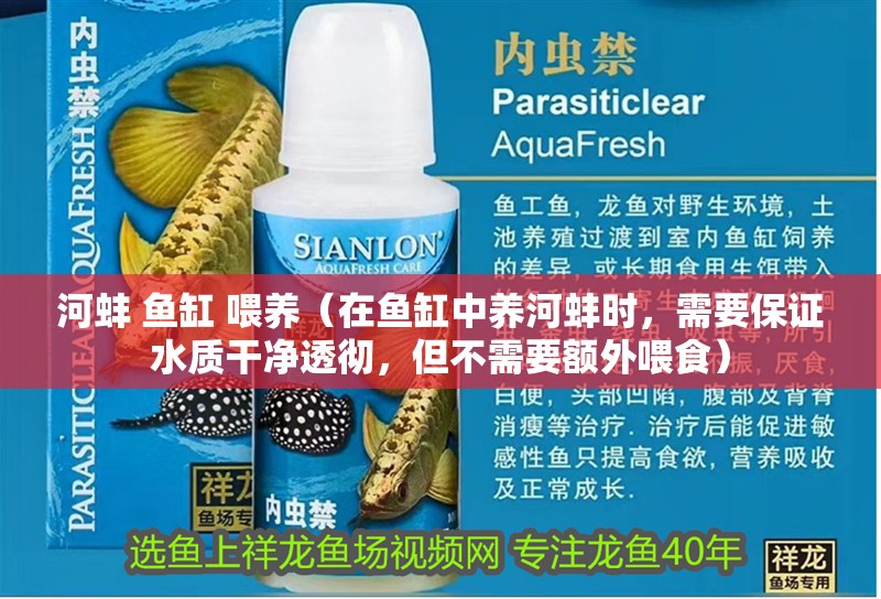 河蚌 魚缸 喂養（在魚缸中養河蚌時，需要保證水質干凈透徹，但不需要額外喂食）