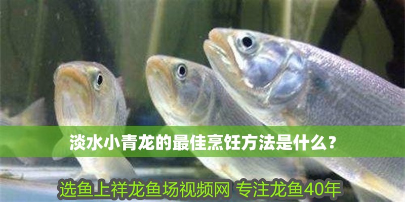 淡水小青龍的最佳烹飪方法是什么？