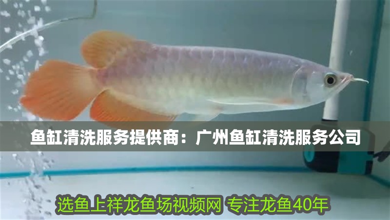 魚缸清洗服務提供商：廣州魚缸清洗服務公司