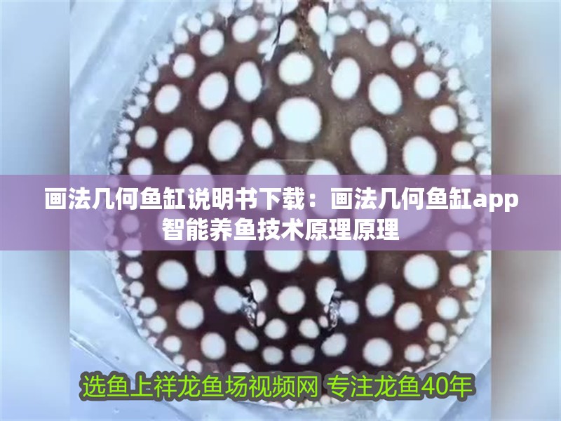 畫法幾何魚缸說明書下載：畫法幾何魚缸app智能養魚技術原理原理