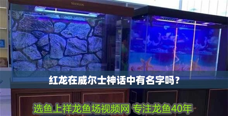 紅龍在威爾士神話中有名字嗎？
