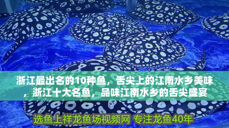 浙江最出名的10種魚，舌尖上的江南水鄉(xiāng)美味，浙江十大名魚，品味江南水鄉(xiāng)的舌尖盛宴