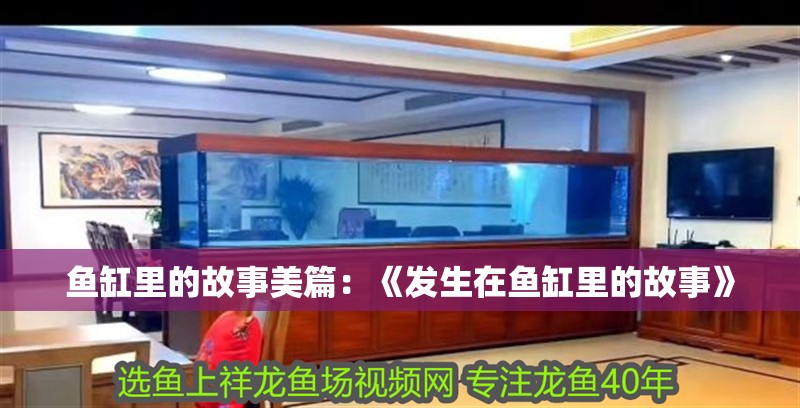魚缸里的故事美篇：《發(fā)生在魚缸里的故事》