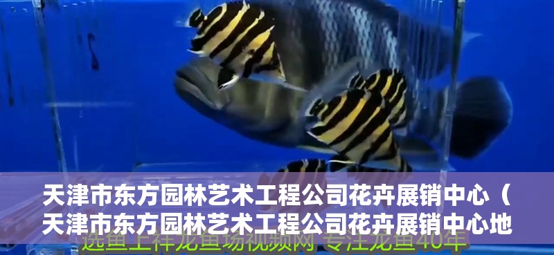 天<strong><mark>津市</mark></strong>東方園林藝術(shù)工程公司花卉展銷中心（天<strong><mark>津市</mark></strong>東方園林藝術(shù)工程公司花卉展銷中心地址）