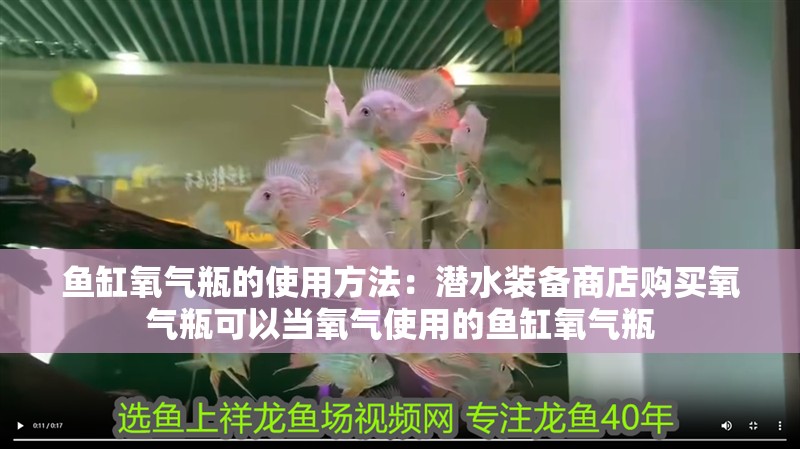 魚缸氧氣瓶的使用方法：潛水裝備商店購買氧氣瓶可以當氧氣使用的魚缸氧氣瓶 魚缸氧氣瓶的使用方法：潛水裝備商店購買氧氣瓶可以當氧氣使用的魚缸氧氣瓶 魚缸百科