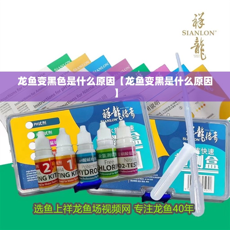 龍魚變黑色是什么原因【龍魚變黑是什么原因】