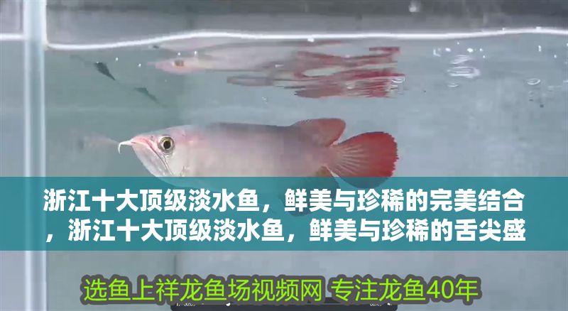 浙江十大頂級淡水魚,鮮美與珍稀的完美結合,浙江十大頂級淡水魚,鮮美與珍稀的舌尖盛宴 龍魚百科 第1張 浙江十大頂級淡水魚,鮮美與珍稀的完美結合,浙江十大頂級淡水魚,鮮美與珍稀的舌尖盛宴 浙江十大頂級淡水魚,鮮美與珍稀的完美結合,浙江十大頂級淡水魚,鮮美與珍稀的舌尖盛宴 龍魚百科 第1張