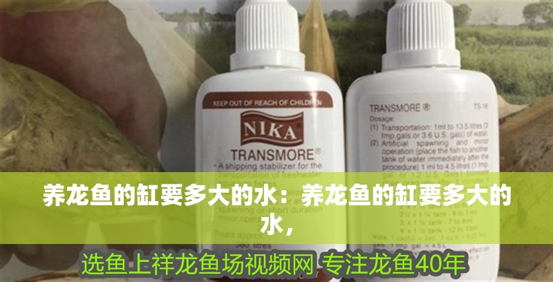 養龍魚的缸要多大的水：養龍魚的缸要多大的水，