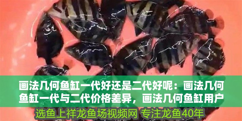 畫(huà)法幾何魚(yú)缸一代好還是二代好呢：畫(huà)法幾何魚(yú)缸一代與二代價(jià)格差異，畫(huà)法幾何魚(yú)缸用戶評(píng)價(jià)匯總