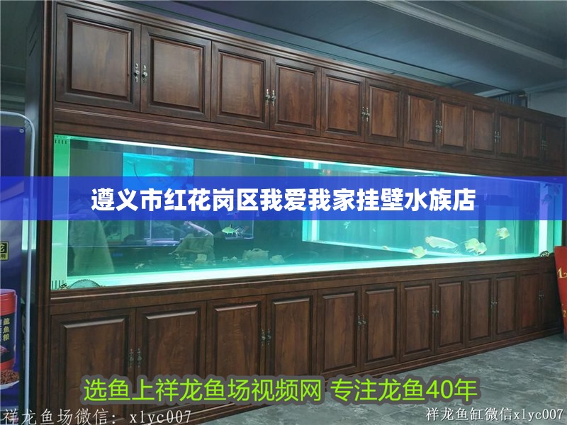 遵義市紅花崗區(qū)我愛我家掛壁水族店