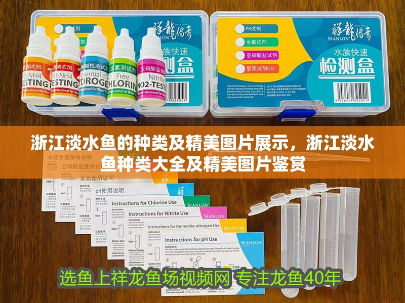 浙江淡水魚的種類及精美圖片展示，浙江淡水魚種類大全及精美圖片鑒賞