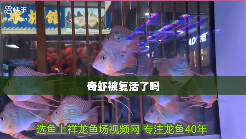 奇蝦被復活了嗎