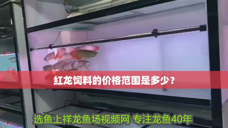 紅龍飼料的價(jià)格范圍是多少？