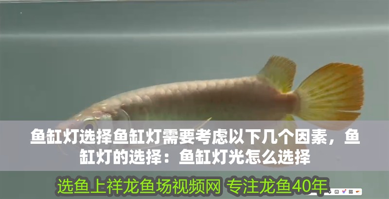 魚缸燈選擇魚缸燈需要考慮以下幾個因素，魚缸燈的選擇：魚缸燈光怎么選擇