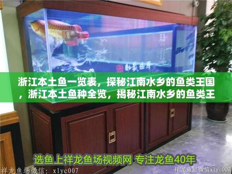 浙江本土魚一覽表，探秘江南水鄉的魚類王國，浙江本土魚種全覽，揭秘江南水鄉的魚類王國