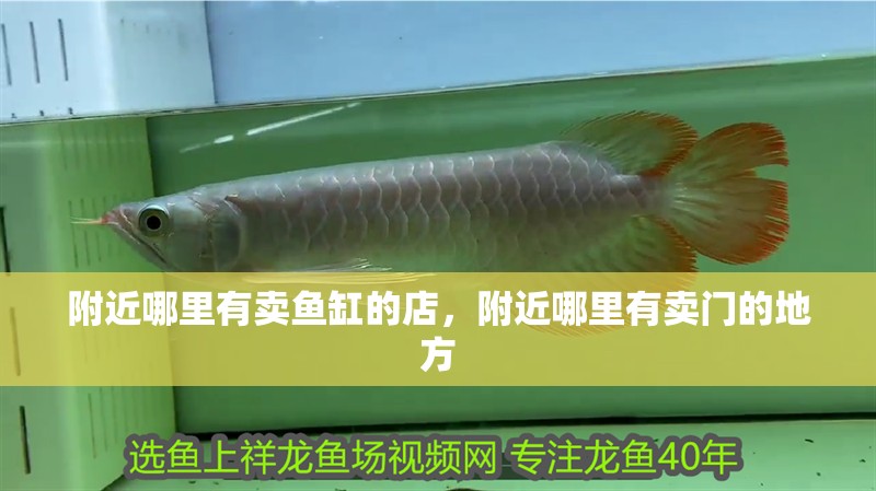 附近哪里有賣魚缸的店，附近哪里有賣門的地方