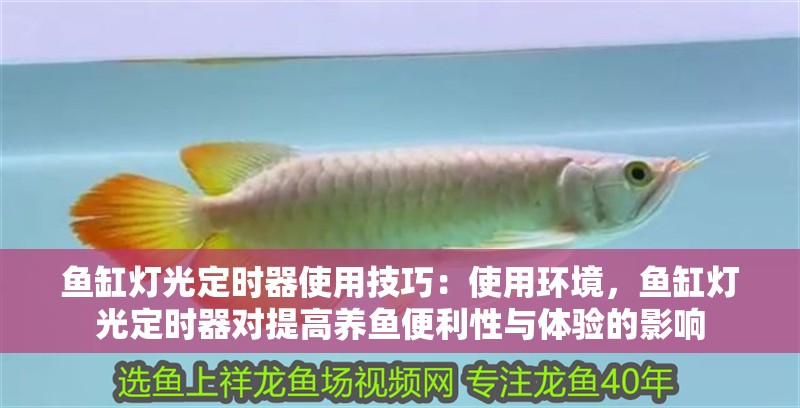 魚缸燈光定時器使用技巧：使用環境，魚缸燈光定時器對提高養魚便利性與體驗的影響