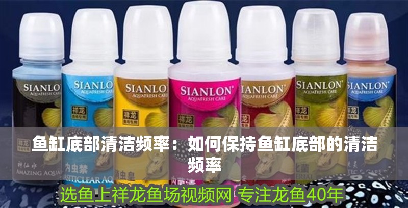 詳細(xì)閱讀:魚缸底部清潔頻率:如何保持魚缸底部的清潔頻率 魚缸底部清潔頻率:如何保持魚缸底部的清潔頻率