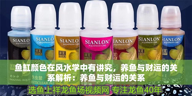 魚缸顏色在風(fēng)水學(xué)中有講究，養(yǎng)魚與財運的關(guān)系解析：養(yǎng)魚與財運的關(guān)系