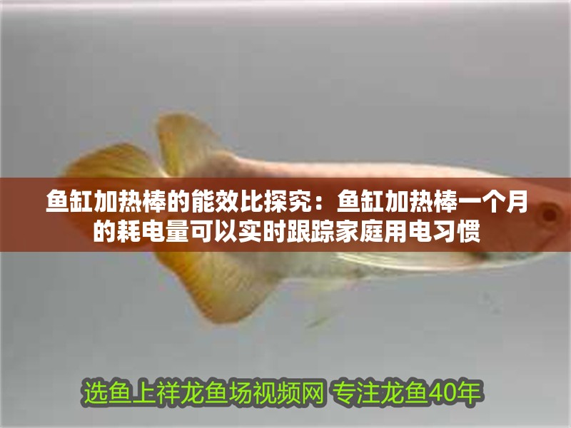 魚缸加熱棒的能效比探究：魚缸加熱棒一個月的耗電量可以實時跟蹤家庭用電習慣