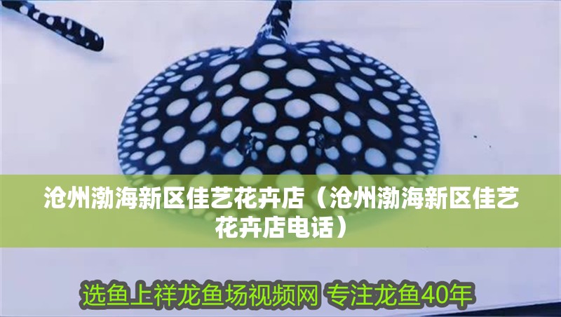 滄州渤海新區佳藝花卉店（滄州渤海新區佳藝花卉店電話）