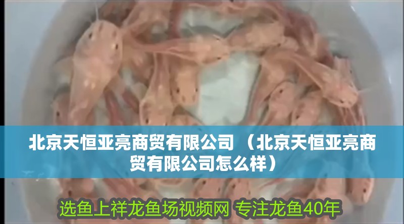 <strong><mark>北京</mark></strong>天恒亞亮商貿有限公司 （<strong><mark>北京</mark></strong>天恒亞亮商貿有限公司怎么樣）