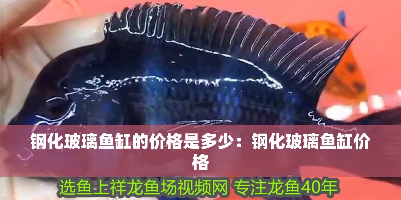 鋼化玻璃魚缸的價格是多少：鋼化玻璃魚缸價格