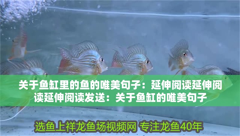 關(guān)于魚缸里的魚的唯美句子：延伸閱讀延伸閱讀延伸閱讀發(fā)送：關(guān)于魚缸的唯美句子