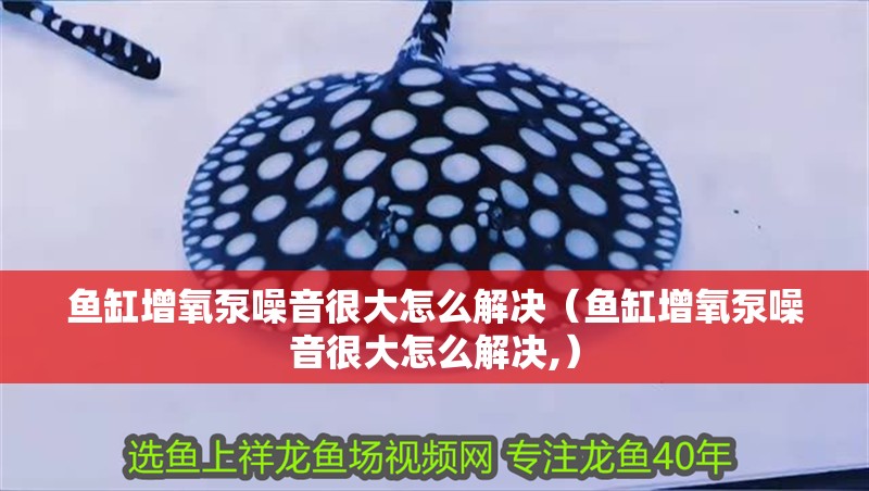 魚缸增氧泵噪音很大怎么解決（魚缸增氧泵噪音很大怎么解決,）