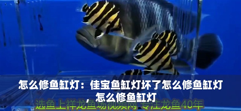 怎么修魚缸燈：佳寶魚缸燈壞了怎么修魚缸燈，怎么修魚缸燈