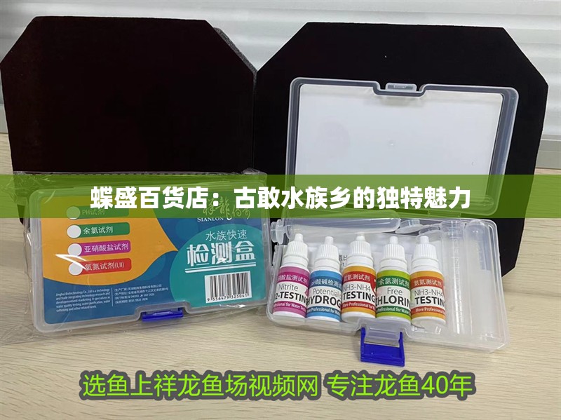 蝶盛百貨店：古敢水族鄉的獨特魅力